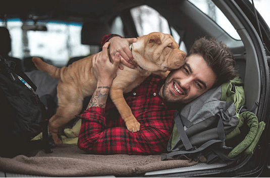 Les solutions pour transporter son chien en voiture de manière  sécuriséevoiture familiale