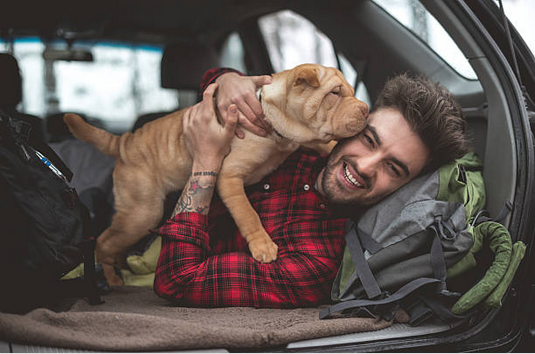 Conseil pour voyager en voiture avec son chien