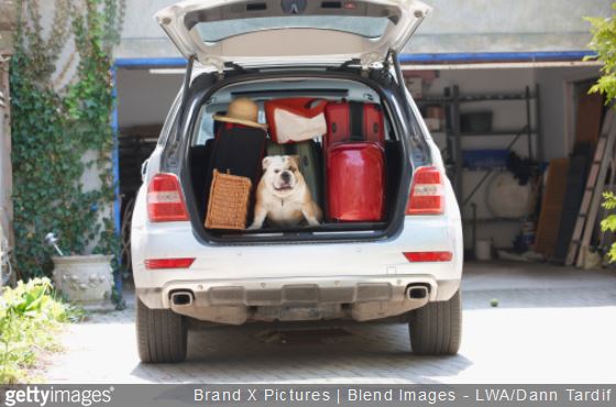 Voyage en voiture : comment bien charger les bagages